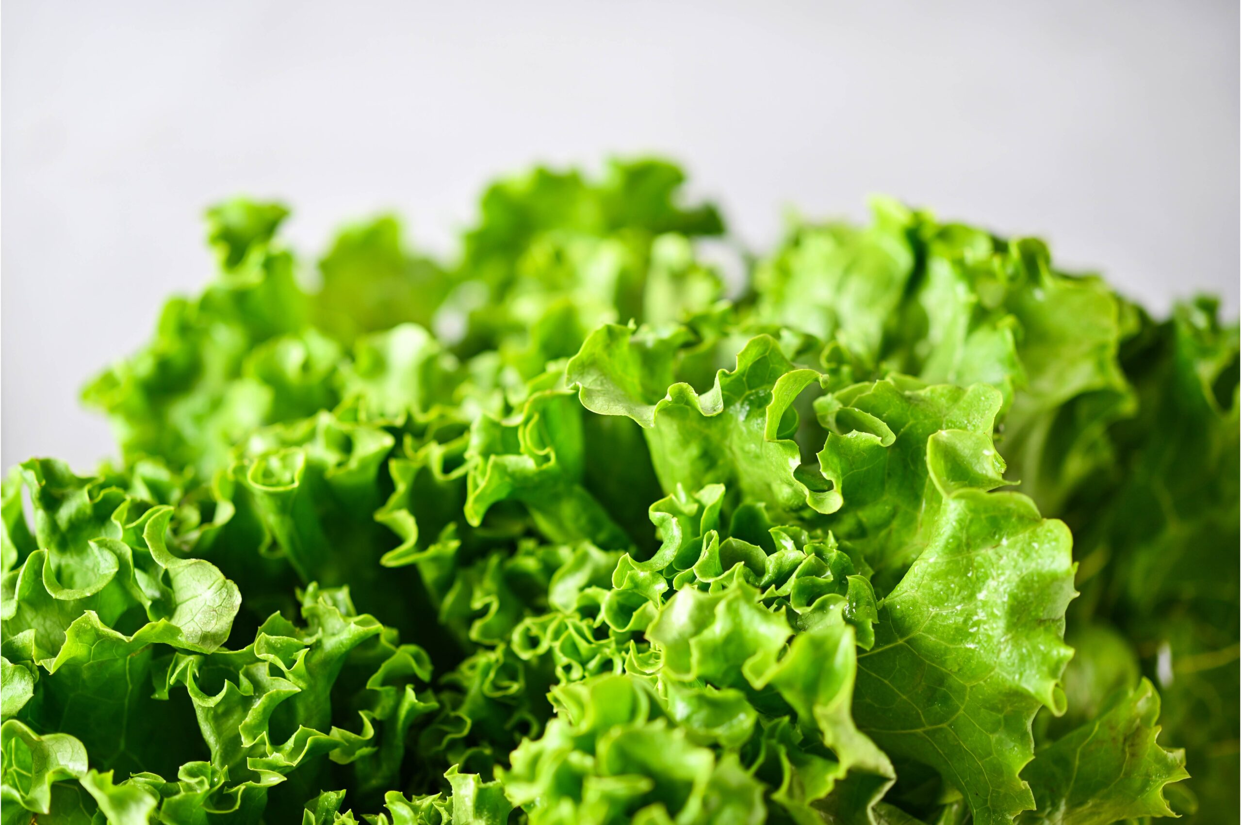 トップスライド