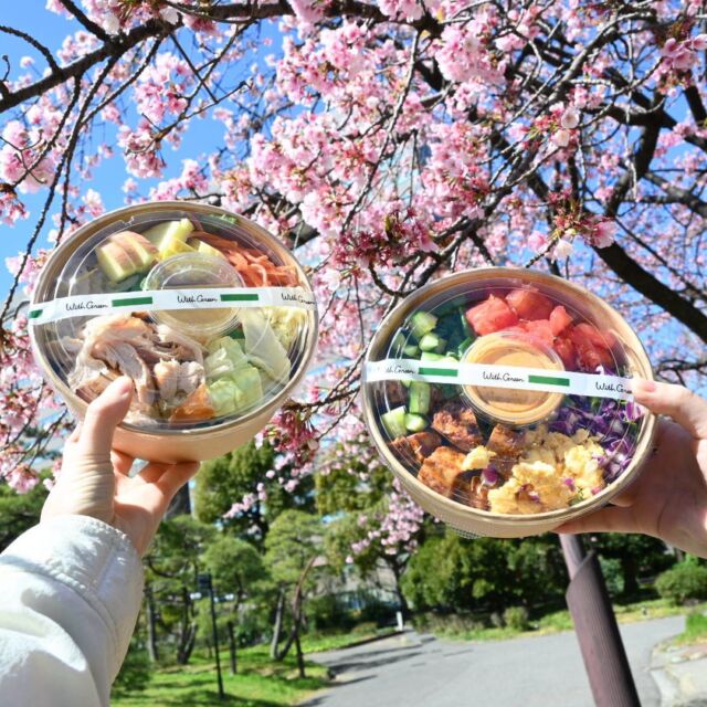 3月も中旬になり、お花見の季節がやってきましたね🌸  今年のお花見は、WithGreenのサラダボウルをお供に楽しんでみてはいかがでしょうか？  WithGreenではイートインはもちろん、テイクアウトの利用もできるのでピクニックなどにも最適ですよ。  色とりどりのサラダボウルは見た目もよく写真映えもします。  また、春キャベツや新じゃがなど旬の野菜を使用したシーズナルメニューは味覚で春を感じることができるようこだわっているので
視覚だけでなくより一層お花見を楽しめるのではないでしょうか。  S・M・Lの3つのサイズから選ぶことができるので大きめサイズを選んでみんなでシェアしていただくこともできます。
※写真はMサイズの分量です。  と、お花見のお供におすすめな理由がたくさんあるんです。  身体を冷やさないよう、自分に気を遣いながら今年の春を満喫しましょう。  - - - - - - - - - - - - - - - - - -  サラダボウルが食べたくなったらコメント欄に🥗スタンプで教えていただけると励みになります！  ▶︎詳細はプロフィールのリンクからご覧ください。
→@withgreen_official  ▶︎お問い合わせはこちらのメールアドレスにご連絡ください。
info@withgreen.co.jp  #withgreen #ウィズグリーン #サラダボウル専門店 #サラダボウル #サラダ #サラダ専門店 #サラダランチ #ヘルシーランチ #ヘルシー #ダイエット食 #ダイエットメニュー #筋トレ食 #国産野菜 #サラダ好き #野菜好き #野菜ランチ #グルメ #野菜好きな人と繋がりたい #健康飲食 #健康食 #彩り野菜 #身体にいいもの #低カロリー #ダイエット生活 #ダイエット記録 #サラダ生活 #食事記録 #グルメ女子 #健康的な生活 #カスタムサラダ
